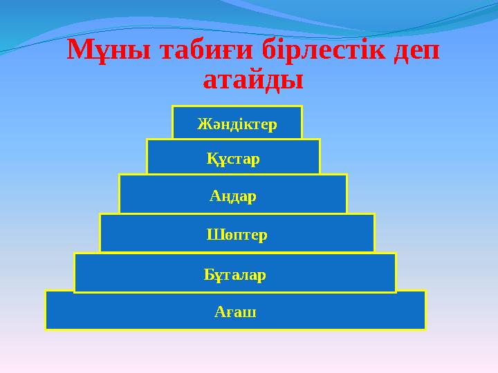 Мұны табиғи бірлестік деп атайды АғашБұталар Шөптер АңдарҚұстарЖәндіктер