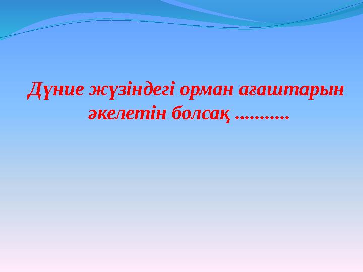 Дүние жүзіндегі орман ағаштарын әкелетін болсақ ...........