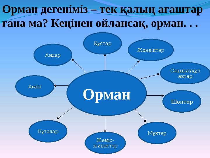Орман Құстар Жәндіктер Аңдар Ағаш Жеміс- жидектер МүктерБұталар ШөптерСаңырауқұл ақтарОрман дегеніміз – тек қалың ағаштар ғана