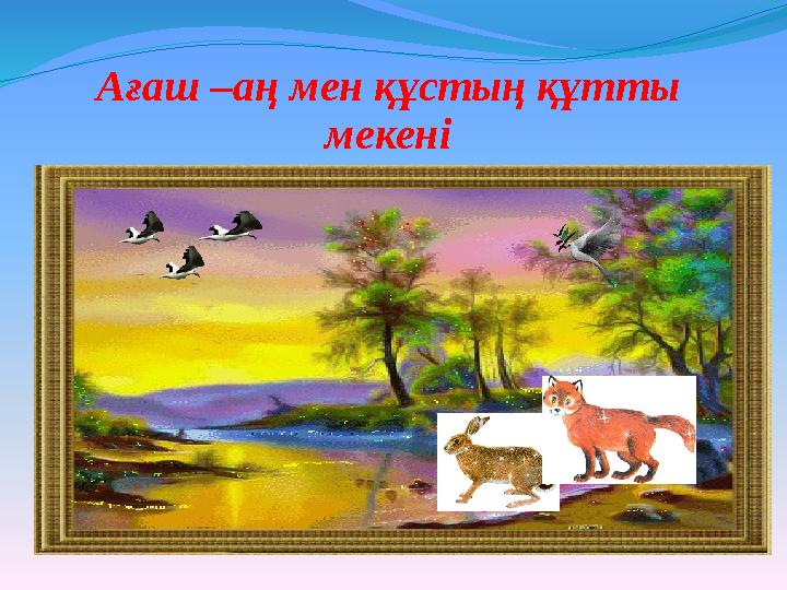 Ағаш –аң мен құстың құтты мекені