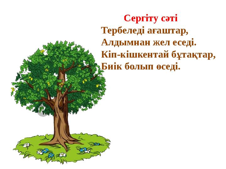 Сергіту сәті Тербеледі ағаштар, Алдымнан жел еседі. Кіп-кішкентай бұтақтар, Биік болып өседі.