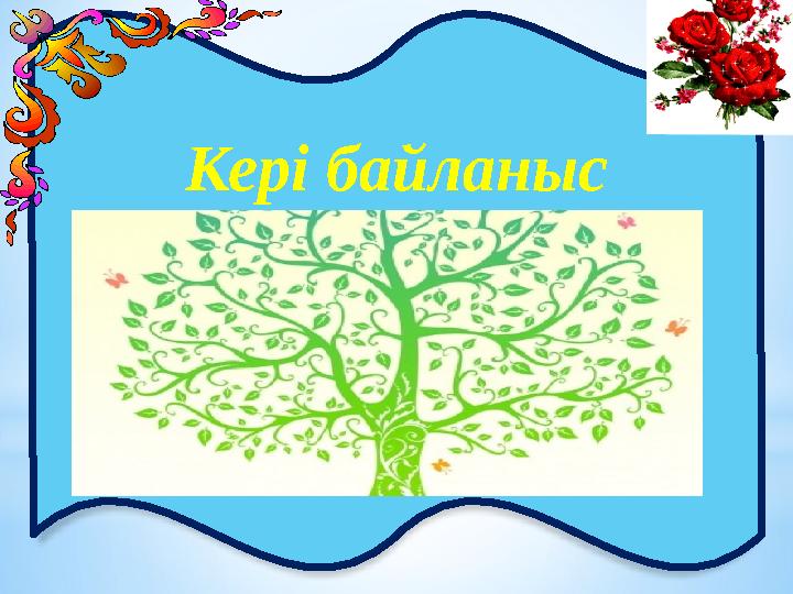 Кері байланыс