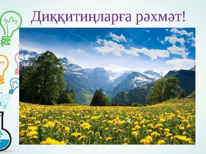 Диққитиңларға рәхмәт!