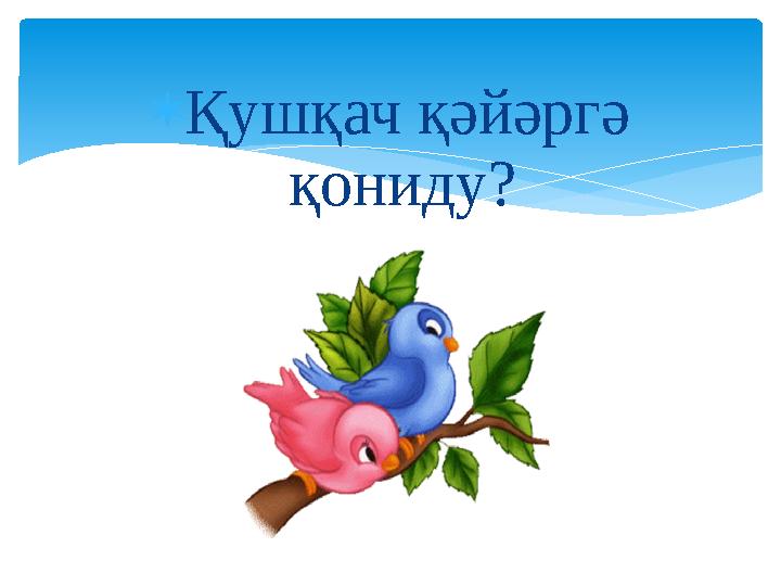  Қушқач қәйәргә қониду?