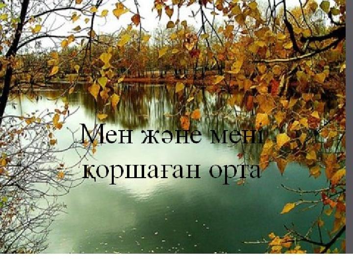 img_page_1