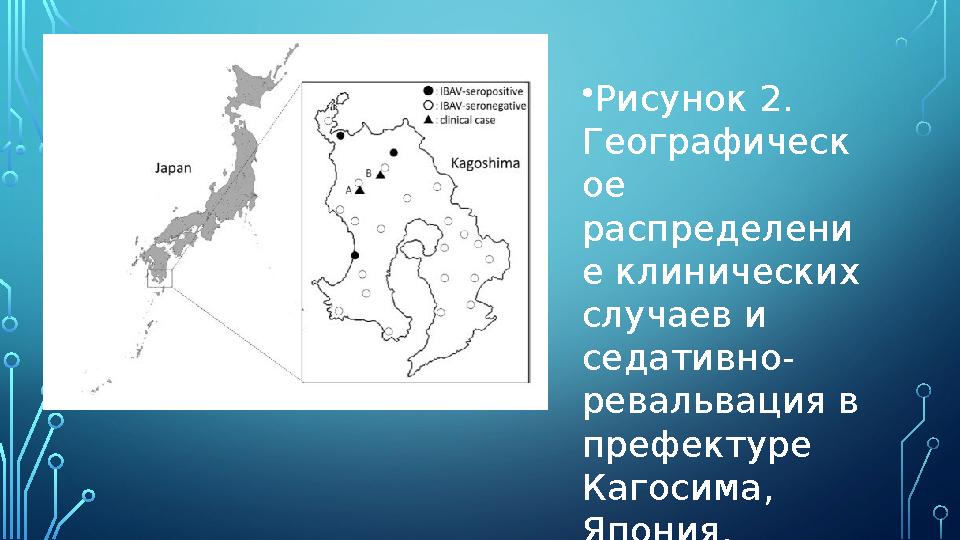 • Рисунок 2. Географическ ое распределени е клинических случаев и седативно- ревальвация в префектуре Кагосима, Япония.