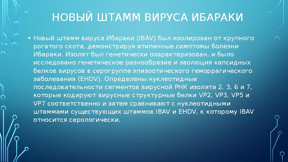 НОВЫЙ ШТАММ ВИРУСА ИБАРАКИ • Новый штамм вируса Ибараки ( IBAV) был изолирован от крупного рогатого скота, демонстрируя атипич