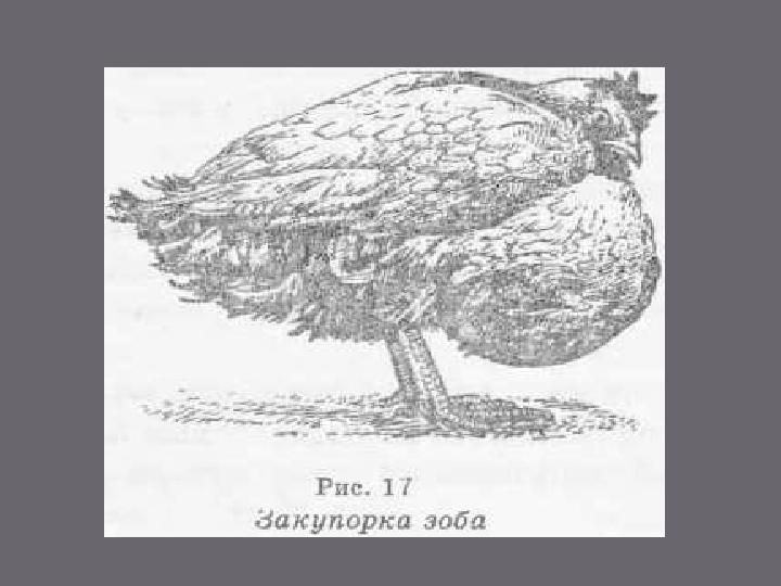  5. Дегалогенизация монойодтирозина и дийодтирозина; использование йодидов. Щитовидная железа способна к реутилизации йода,