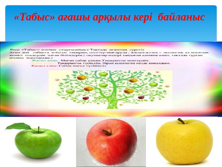 «Табыс» ағашы арқылы кері байланыс