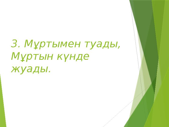 3. Мұртымен туады, Мұртын күнде жуады.
