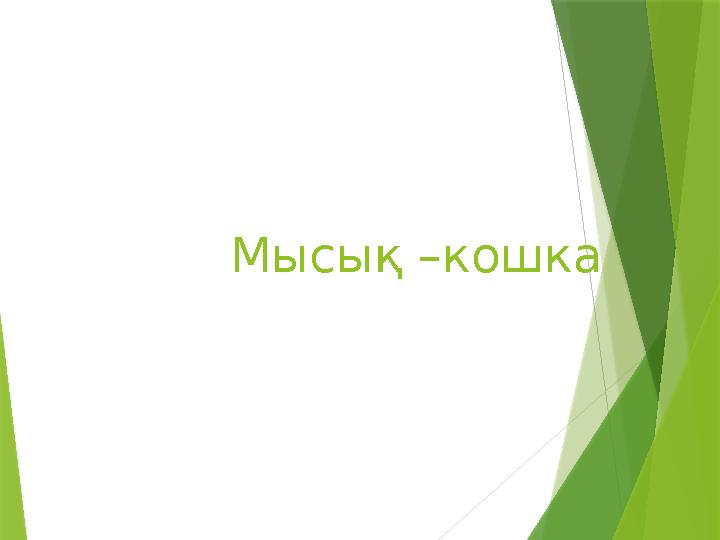 Мысы қ –кошка