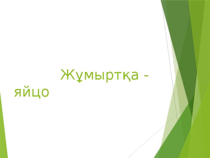 Жұмыртқа - яйцо