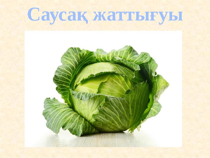 Саусақ жаттығуы