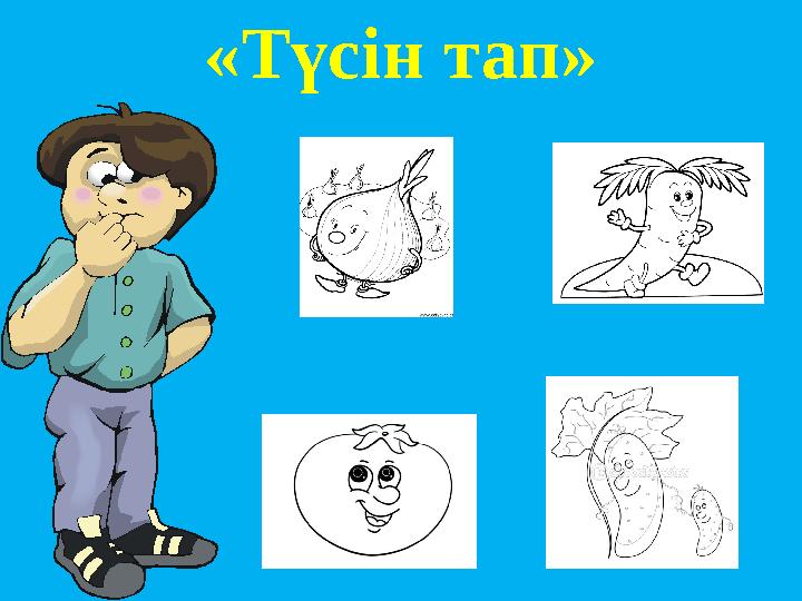 «Түсін тап»