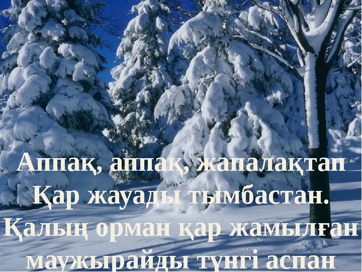 Аппақ, аппақ, жапалақтап Қар жауады тымбастан. Қалың орман қар жамылған маужырайды түнгі аспан