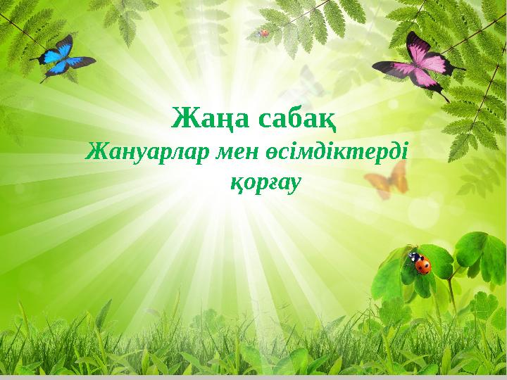 Жаңа сабақ Жануарлар мен өсімдіктерді қорғау