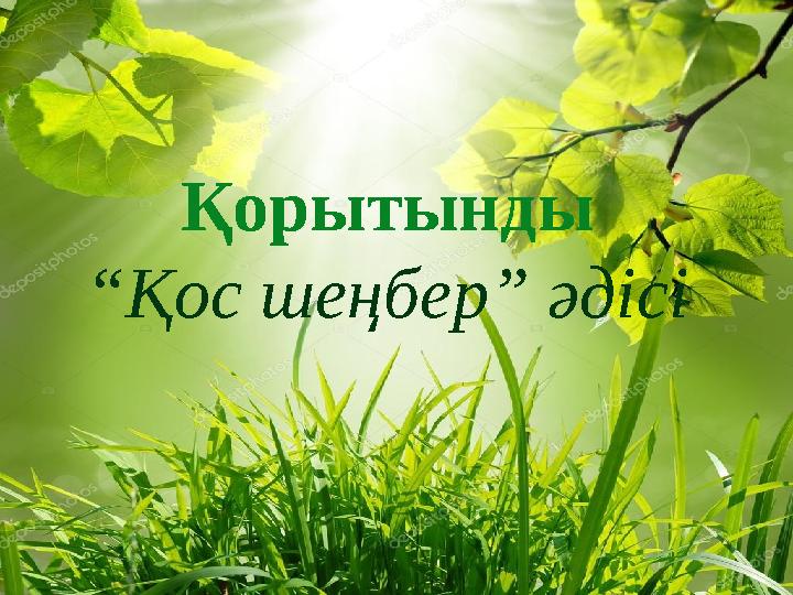 Қорытынды “ Қос шеңбер” әдісі