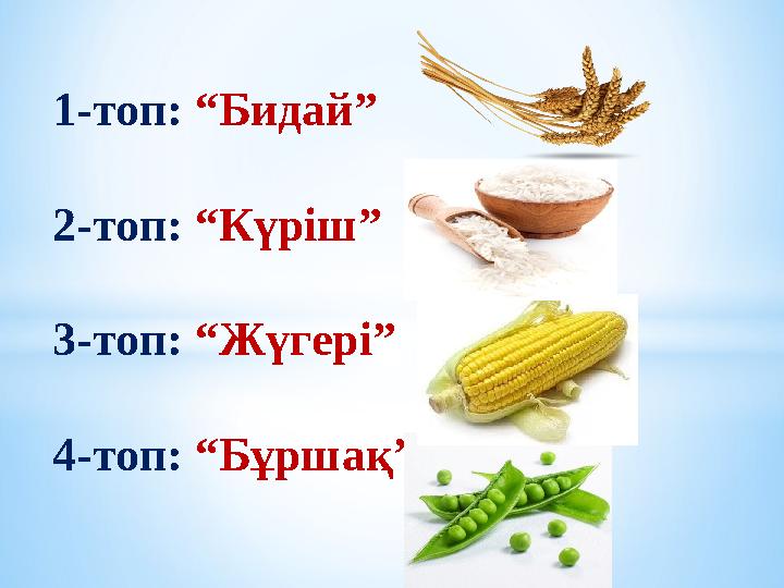 1-топ: “Бидай” 2-топ: “Күріш” 3-топ: “Жүгері” 4-топ: “Бұршақ”