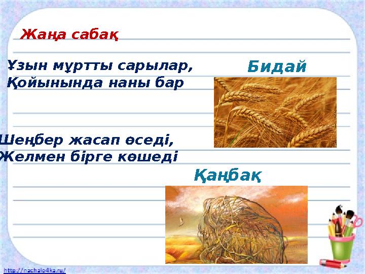 Жаңа сабақ Ұзын мұртты сарылар, Қойынында наны бар Бидай Шеңбер жасап өседі, Желмен бірге көшеді Қаңбақ