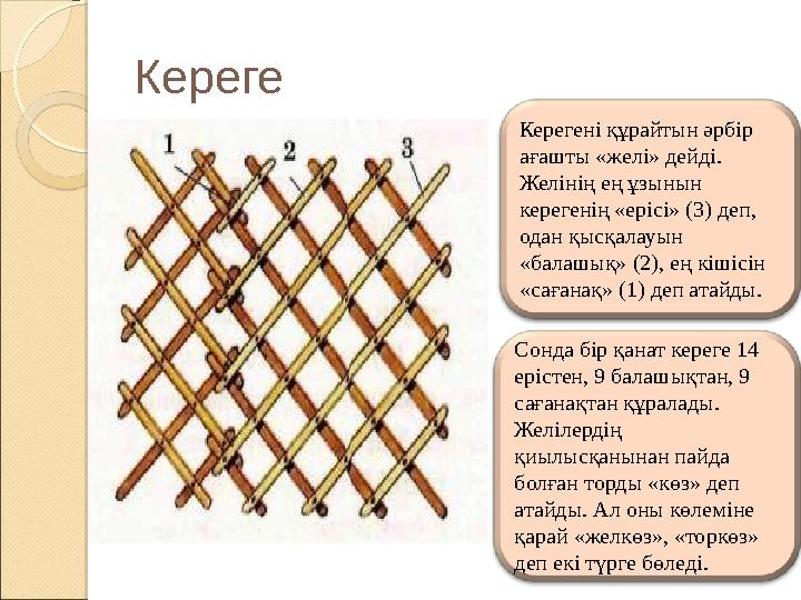 Кереге Керегені құрайтын әрбір ағашты «желі» дейді. Желінің ең ұзынын керегенің «ерісі» (3) деп, одан қысқалауын «балашық»