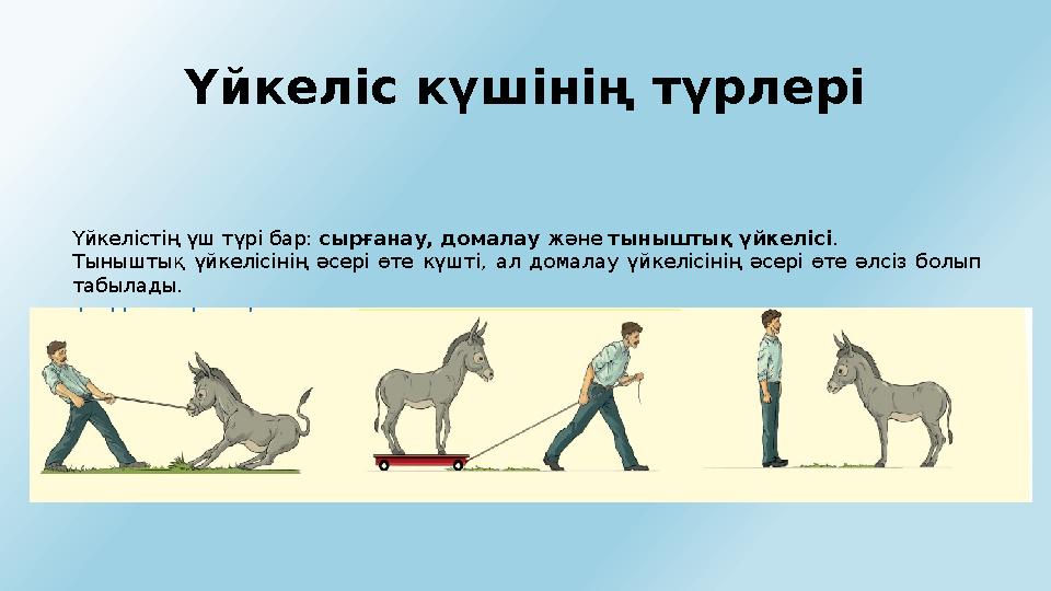 Жас әдемі киска