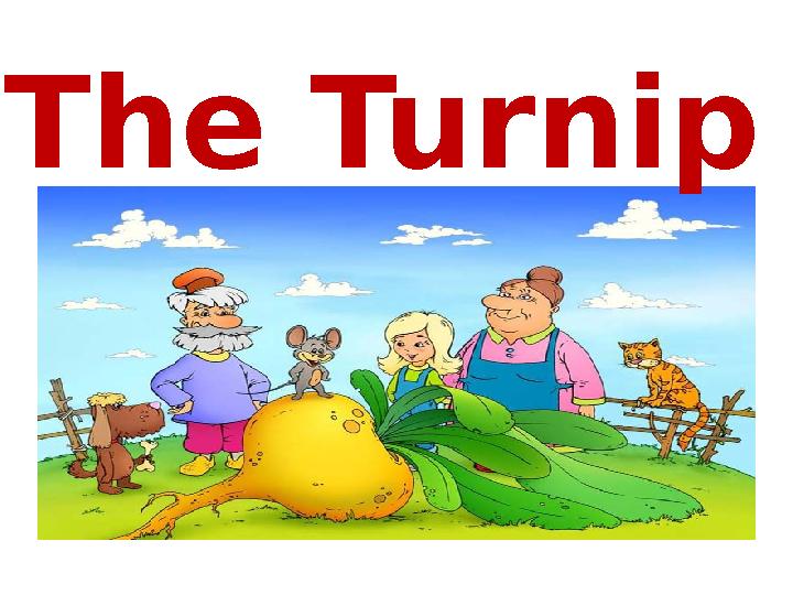 The Turnip