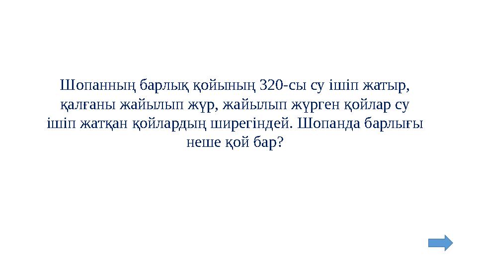 Шопанның барлық қойының 320-сы су ішіп жатыр, қалғаны жайылып жүр, жайылып жүрген қойлар су ішіп жатқан қойлардың ширегіндей. Шо