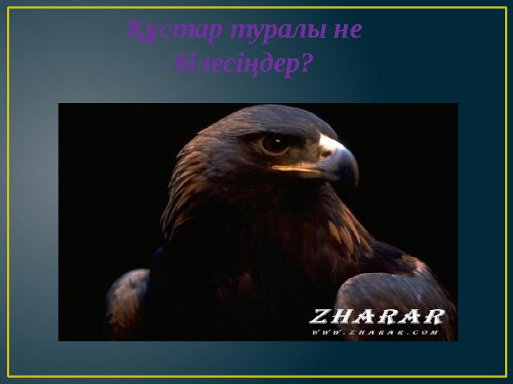 Құстар туралы не білесіңдер?