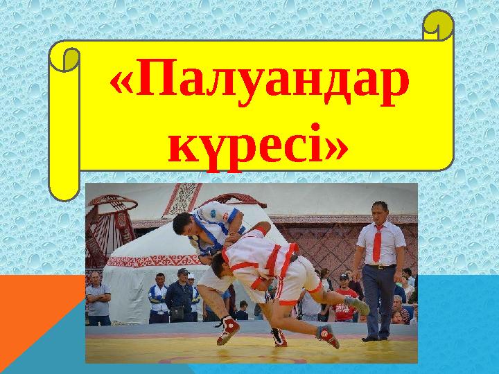 «Палуандар күресі»