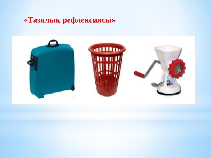 «Тазалық рефлексиясы» «Тазалық рефлексиясы»