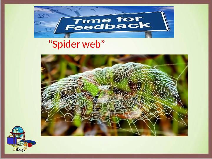 Feedback “ Spider web”