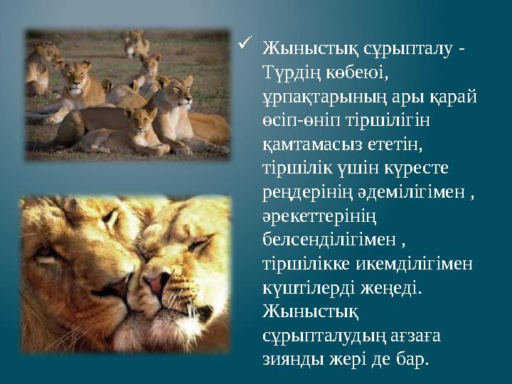 Ресейлік биші қыздардың порнографиялық фотосуреттері