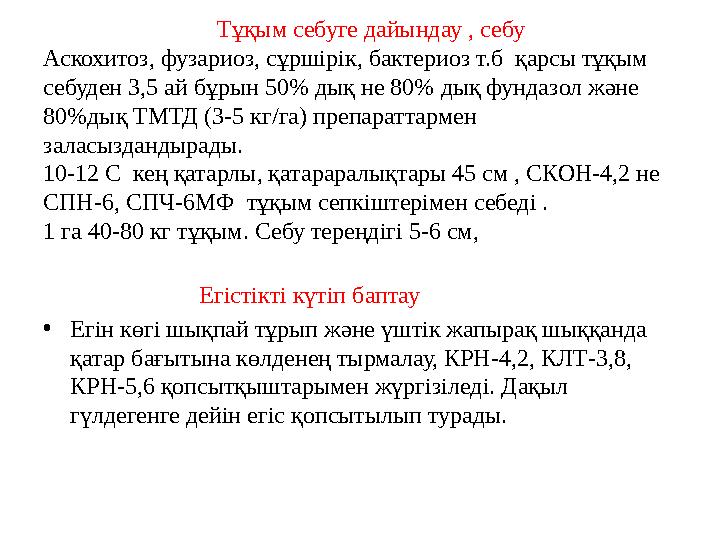 Тұқым себуге дайындау , себу Аскохитоз, фузариоз, сұршірік, бактериоз т.б қарсы тұқым себуден 3,