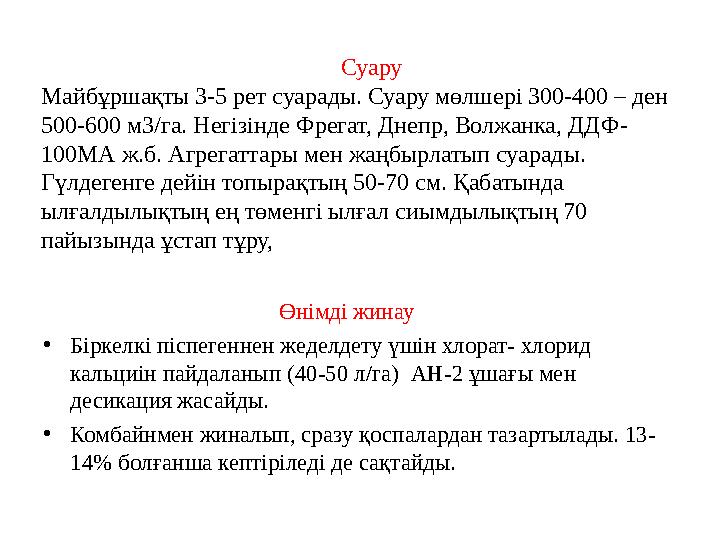 Суару Майбұршақты 3-5 рет суарады. Суару мөлшері 300-400 – ден 500-600 м3/га