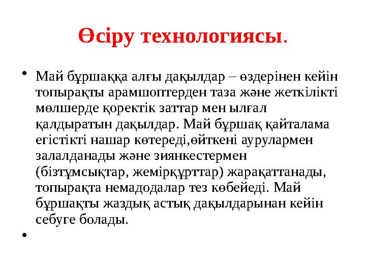 Өсіру технологиясы . • Май бұршаққа алғы дақылдар – өздерінен кейін топырақты арамшоптерден таза және жеткілікті мөлшерде қор