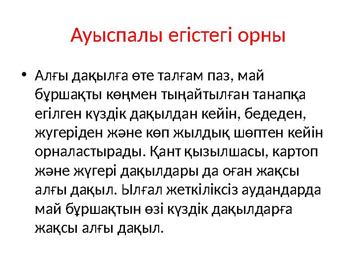 Ауыспалы егістегі орны • Алғы дақылға өте талғам паз, май бұршақты көңмен тыңайтылған танапқа егілген күздік дақылдан кейін, б