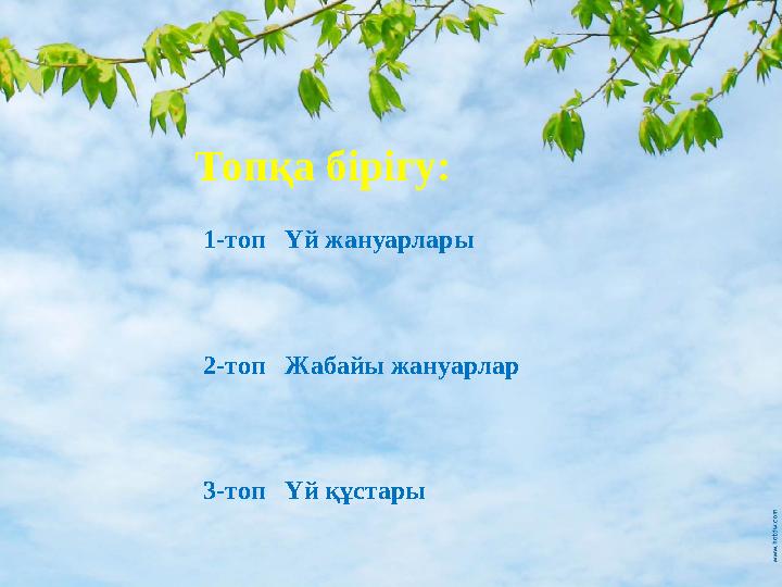 Топқа бірігу: 1-топ Үй жануарлары