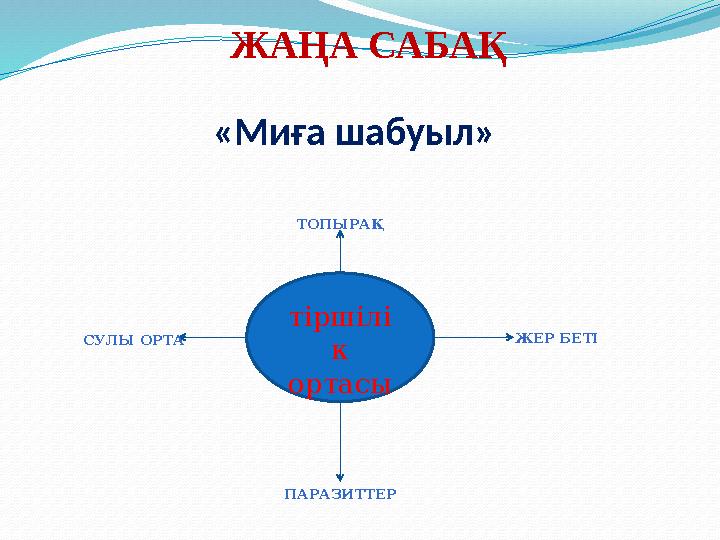 ЖАҢА САБАҚ «Миға шабуыл» тіршілі к ортасы ТОПЫРАҚ ЖЕР БЕТІ СУЛЫ ОРТА ПАРАЗИ