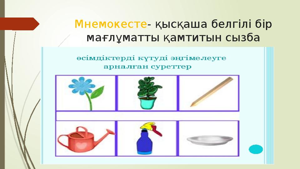 Мнемокесте - қысқаша белгілі бір мағлұматты қамтитын сызба Мнемокесте - қысқаша белгілі бір мағлұматты қамтитын сызба