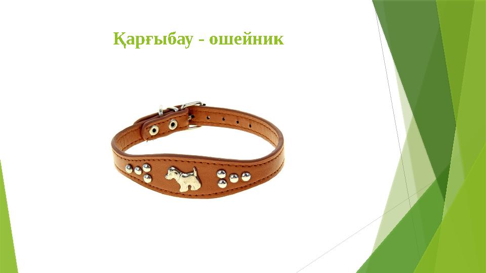 Қарғыбау - ошейник