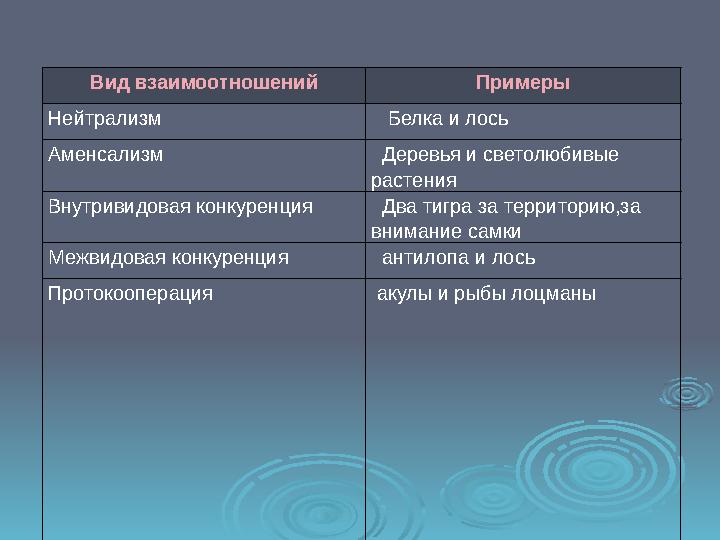 Вид взаимоотношений Примеры Нейтрализм Белка и лось Аменсализм Деревья и светолюбивые растения Внутривидовая конкуренци
