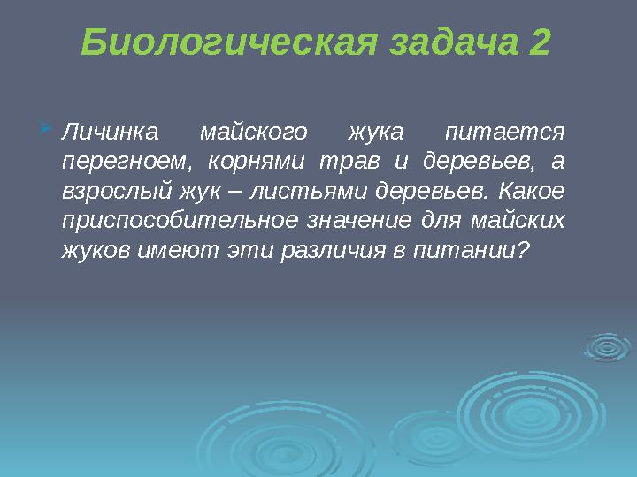 Биологическая задача 2  Личинка майского жука питается перегноем, корнями трав и деревьев, а взрослый жук – листьями