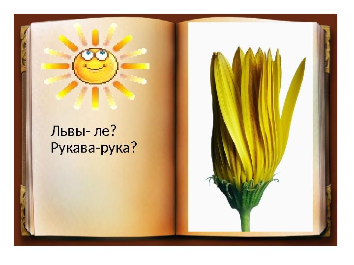 Львы- ле ? Рукава-рука ?