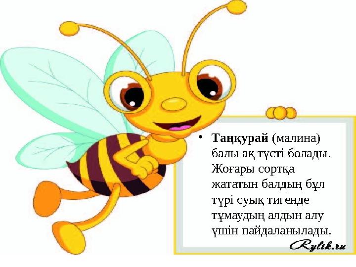 • Таңқурай (малина) балы ақ түсті болады. Жоғары сортқа жататын балдың бұл түрі суық тигенде тұмаудың алдын алу үшін пайд