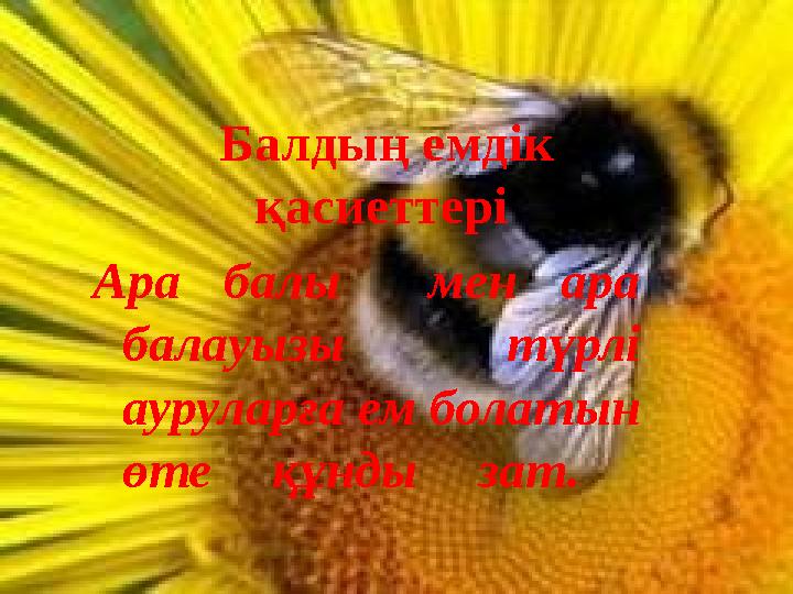 Балдың емдік қасиеттері Ара балы мен ара балауызы түрлі ауруларға ем болатын өте құнды зат.