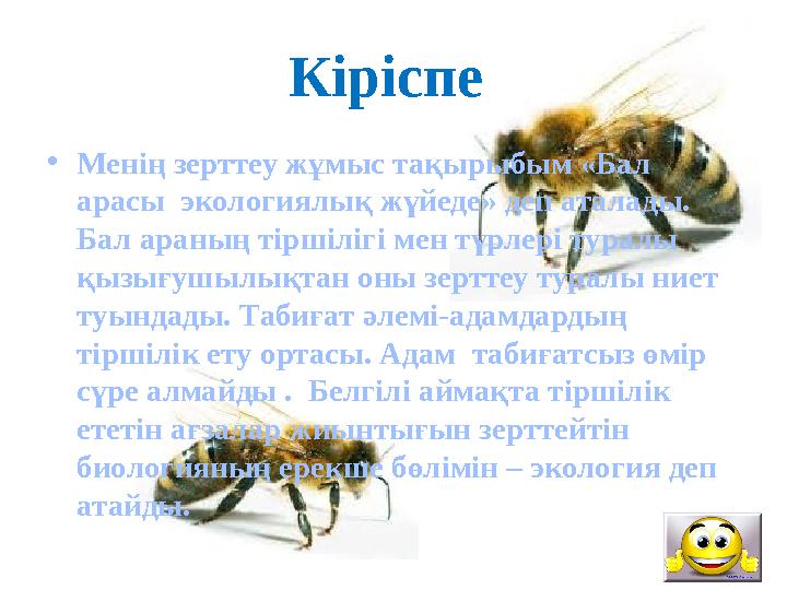 Кіріспе • Менің зерттеу жұмыс тақырыбым «Бал арасы экологиялық жүйеде» деп аталады. Бал араның тіршілігі мен түрлері тур