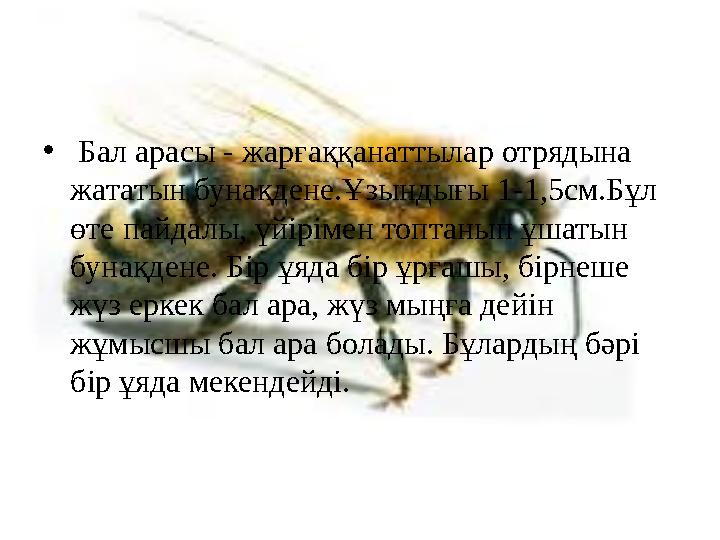 • Бал арасы - жарғаққанаттылар отрядына жататын бунақдене.Ұзындығы 1-1,5см.Бұл өте пайдалы, үйірімен топтанып ұшатын бунақд