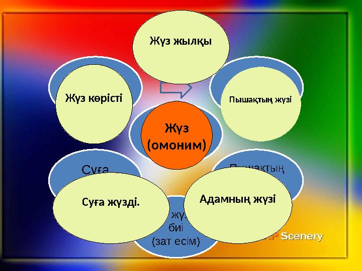 Жүз (омоним ) Жүз жылқы (сан есім) Пышақтың жүзі (зат есім) Ұлы жүздің биі (зат есім)Суға жүзу (етістік) Жүз көрісті (зат