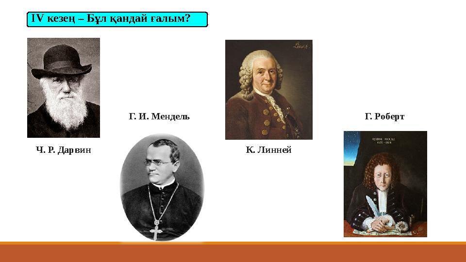І V кезең – Бұл қандай ғ а лым? Ч. Р. Дарвин К. Линней Г. РобертГ. И. Мендель І V кезең – Бұл қандай ғ а лым? Ч. Р. Дарвин К. Линней Г. РобертГ. И. Мендель