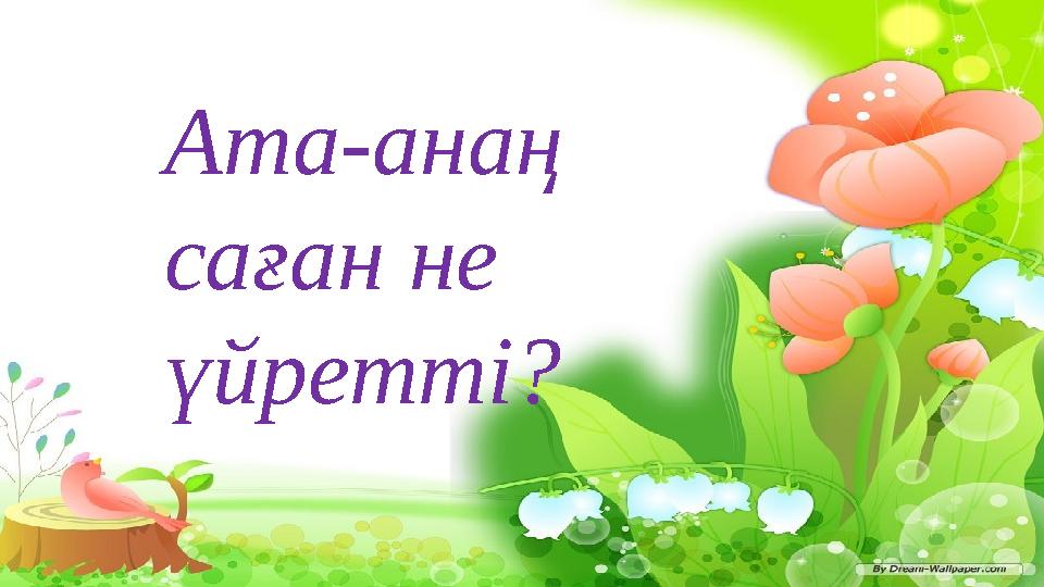 Сұрақтар: 1. Бұл әңгіме не жөнінде айтылған? 2. Әңгімедегі қарияның іс – әрекетіне қандай баға бересіңдер? 3. Сендер отбасылары